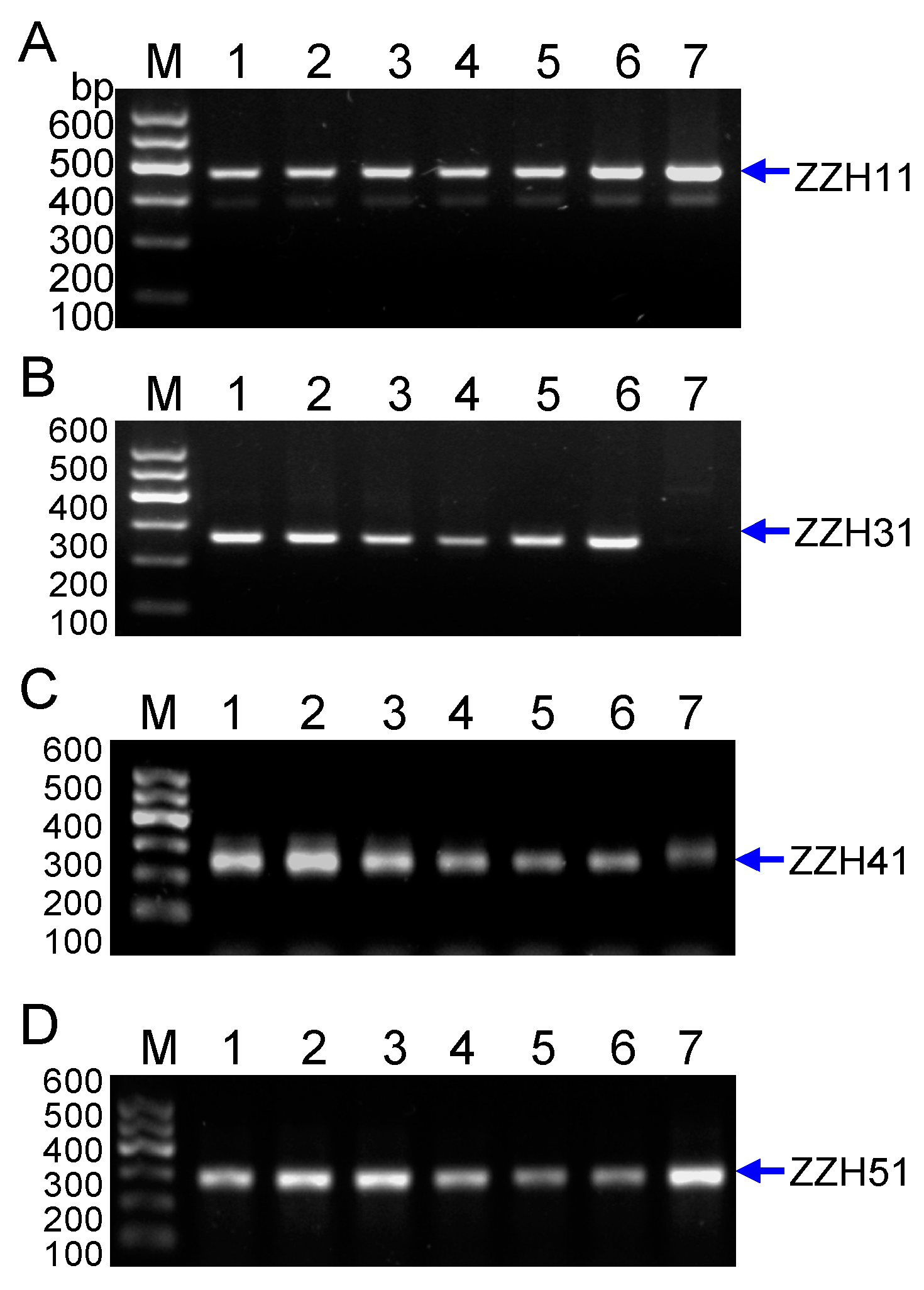 Molecules 20 19687 g006