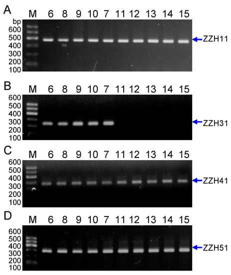 Molecules 20 19687 g007 550
