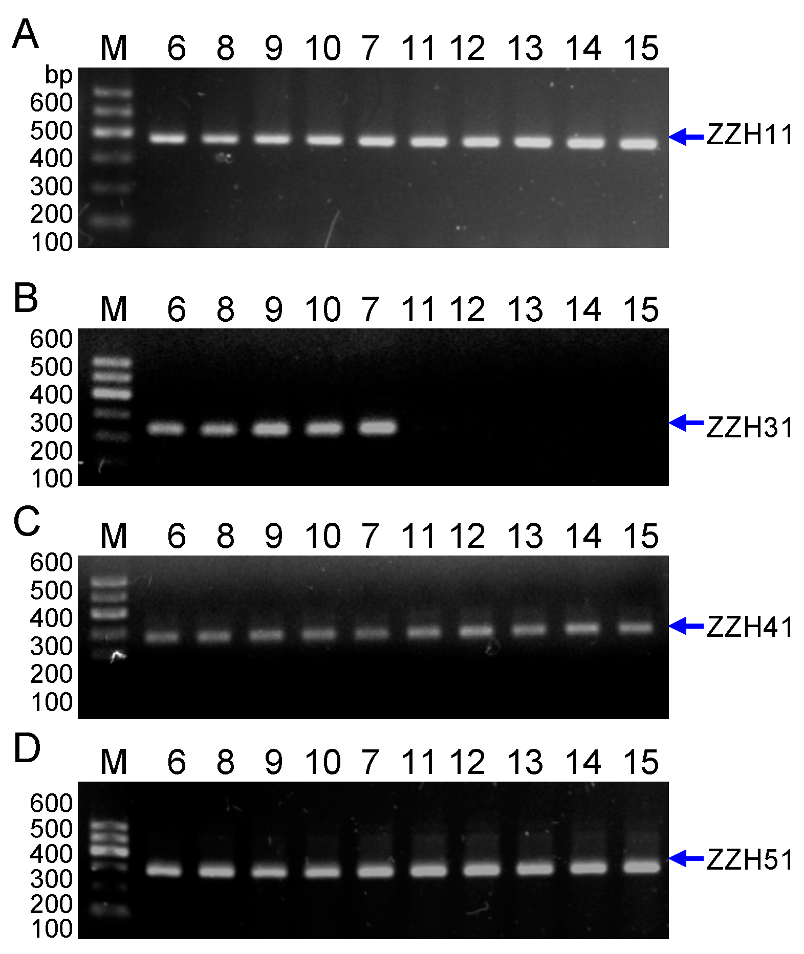 Molecules 20 19687 g007