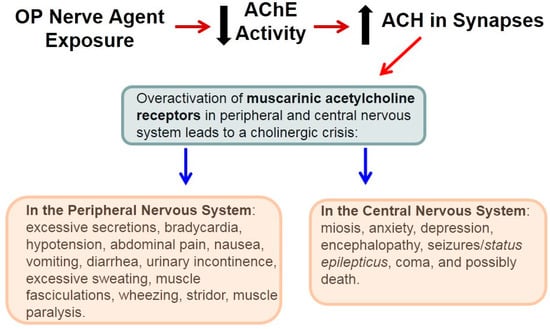 Molecules 20 19698 g001 550