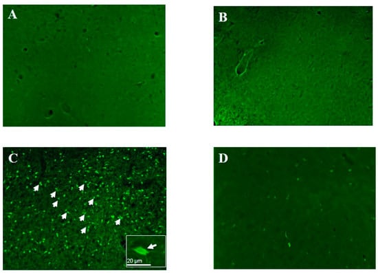 Molecules 20 19698 g002 550