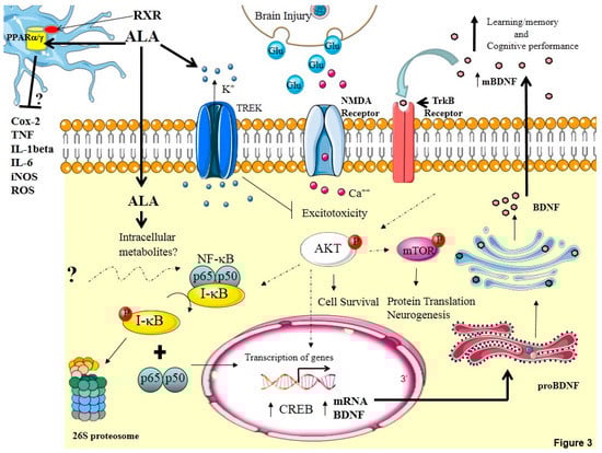 Molecules 20 19698 g003 550