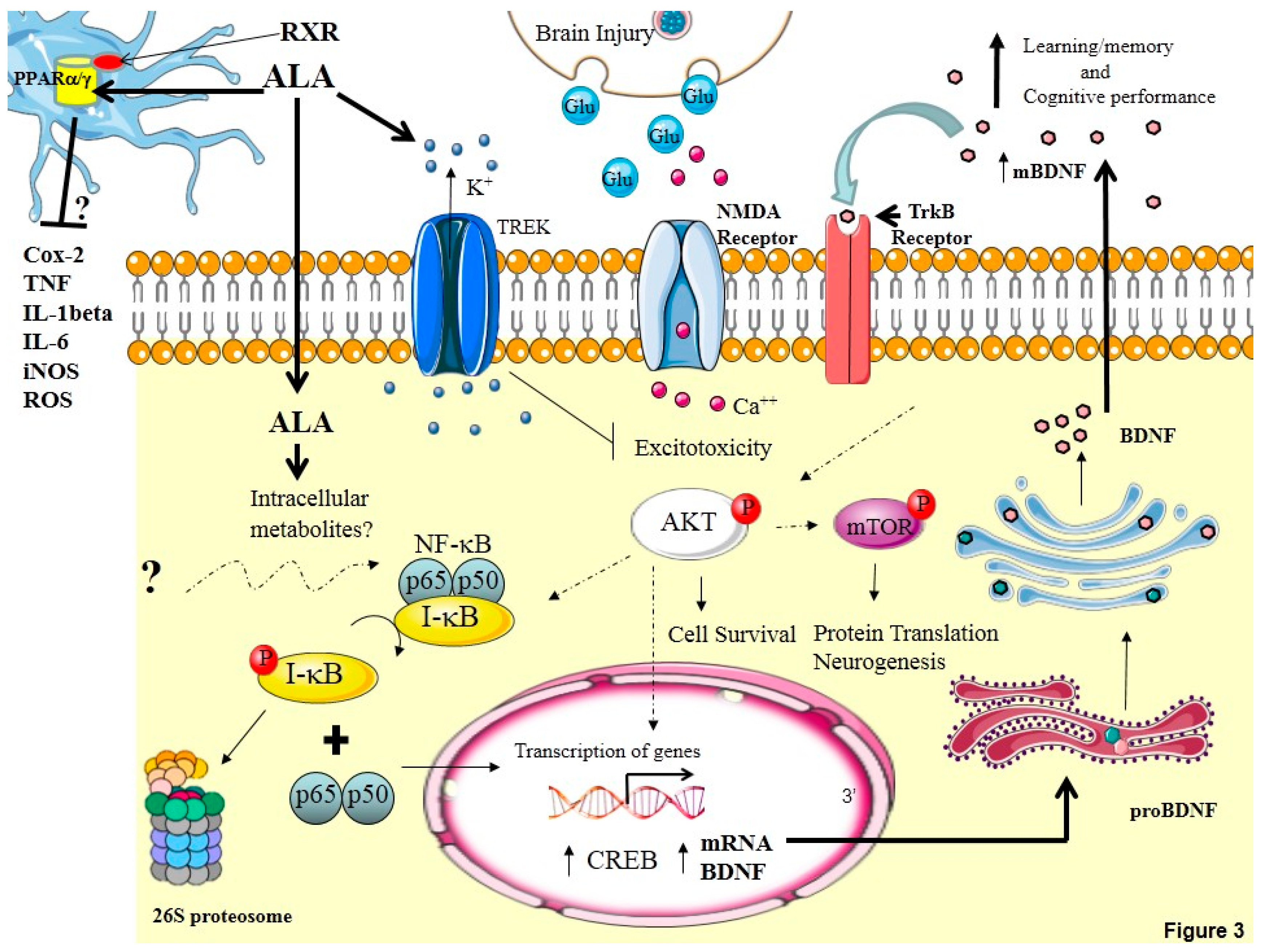 Molecules 20 19698 g003