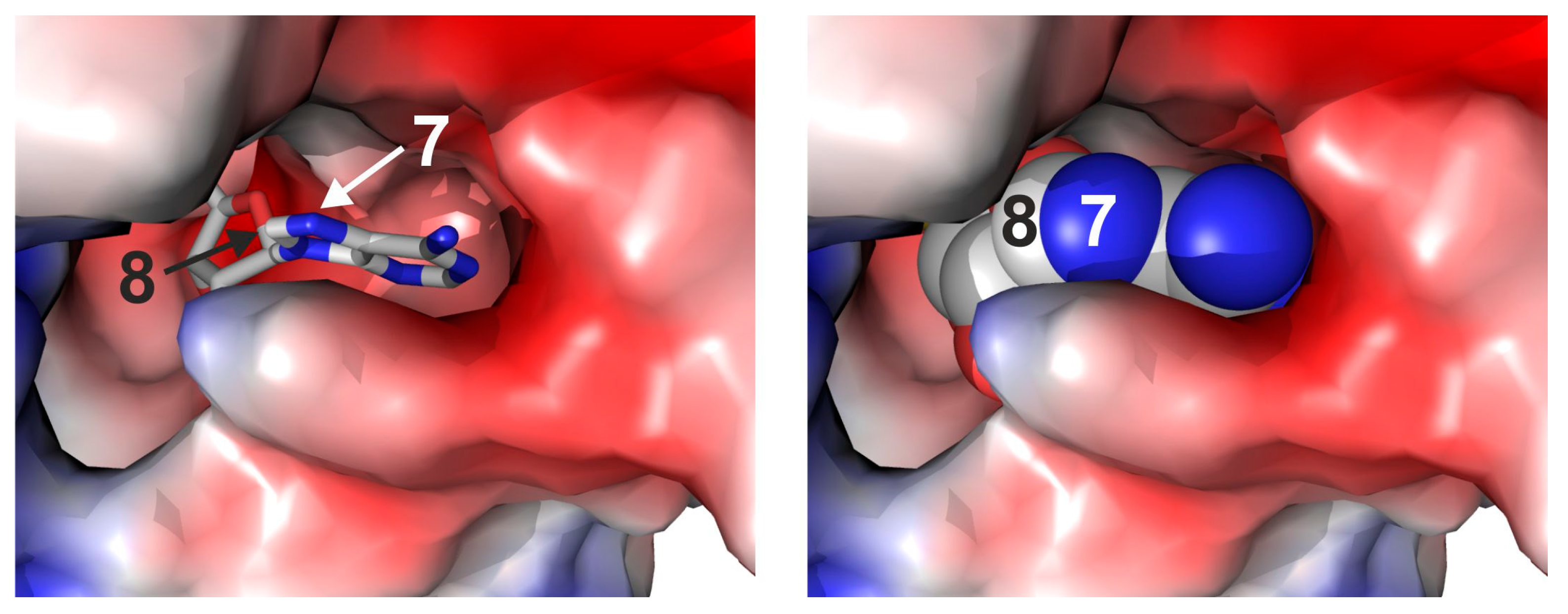 Molecules 20 19723 g001