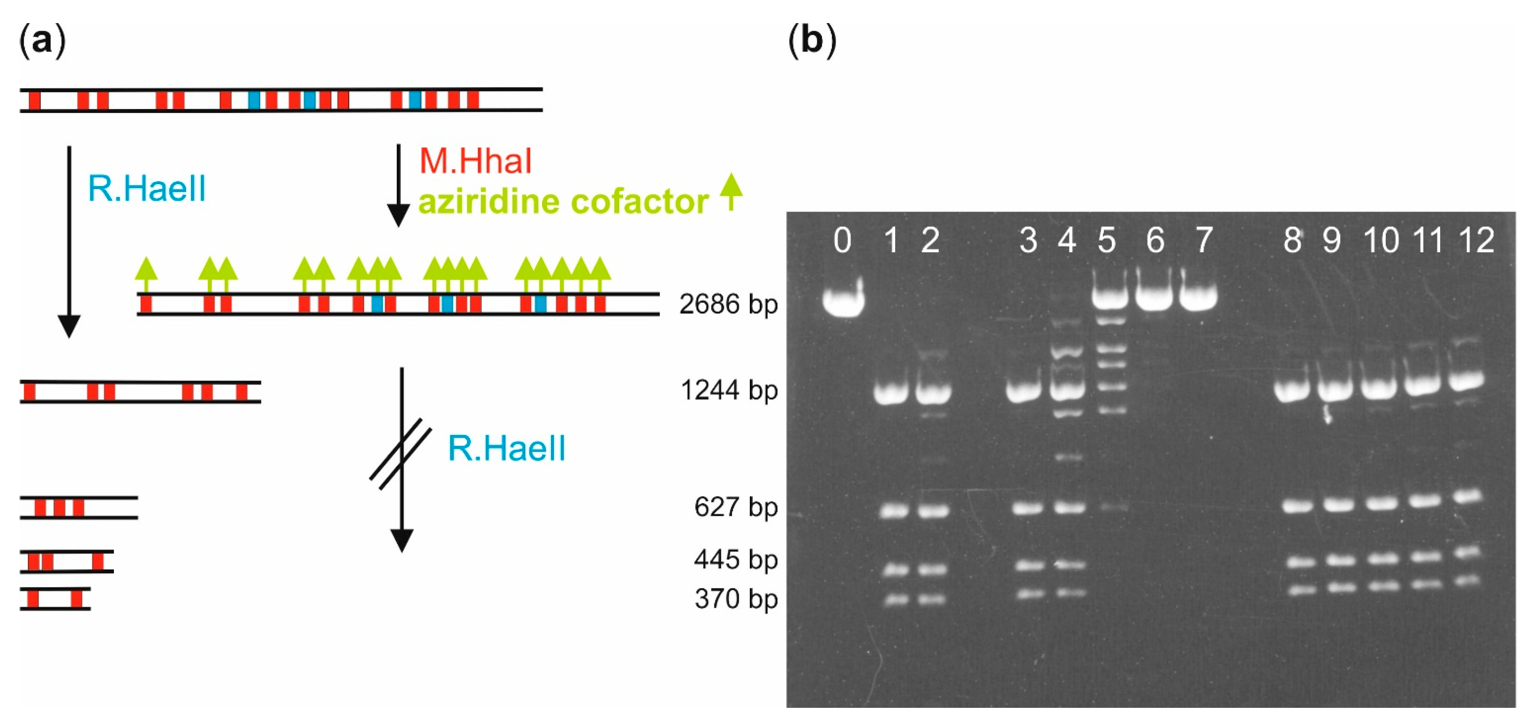 Molecules 20 19723 g003