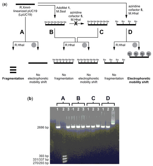Molecules 20 19723 g005 550