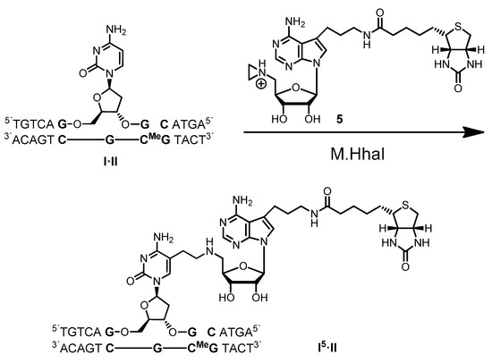 Molecules 20 19723 g009 550