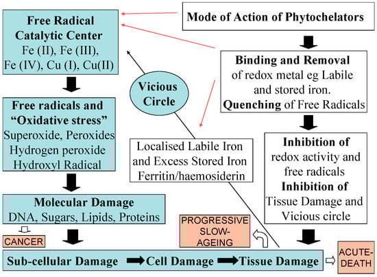 Molecules 20 19725 g002 550