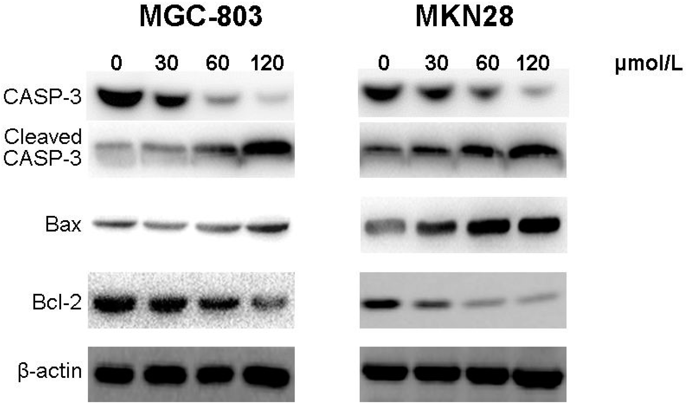 Molecules 20 19729 g005