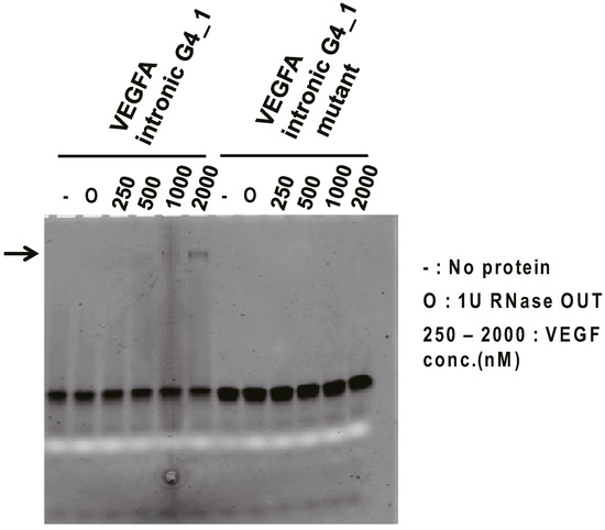 Molecules 20 19733 g001 550