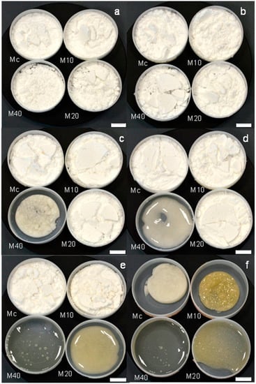 Molecules 20 19746 g006 550