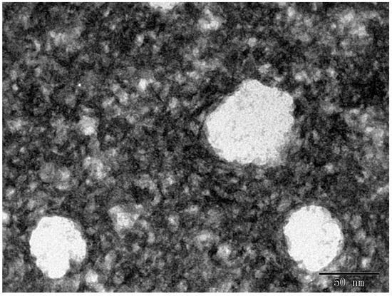 Molecules 20 19750 g003 550