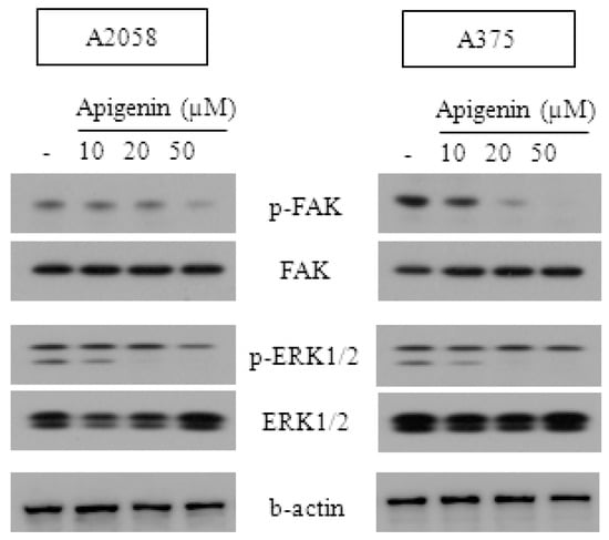 Molecules 20 19752 g003 550