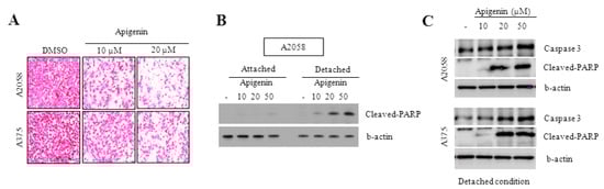 Molecules 20 19752 g004 550