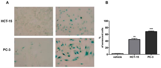 Molecules 20 19757 g004 550