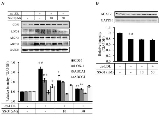 Molecules 20 19764 g003 550