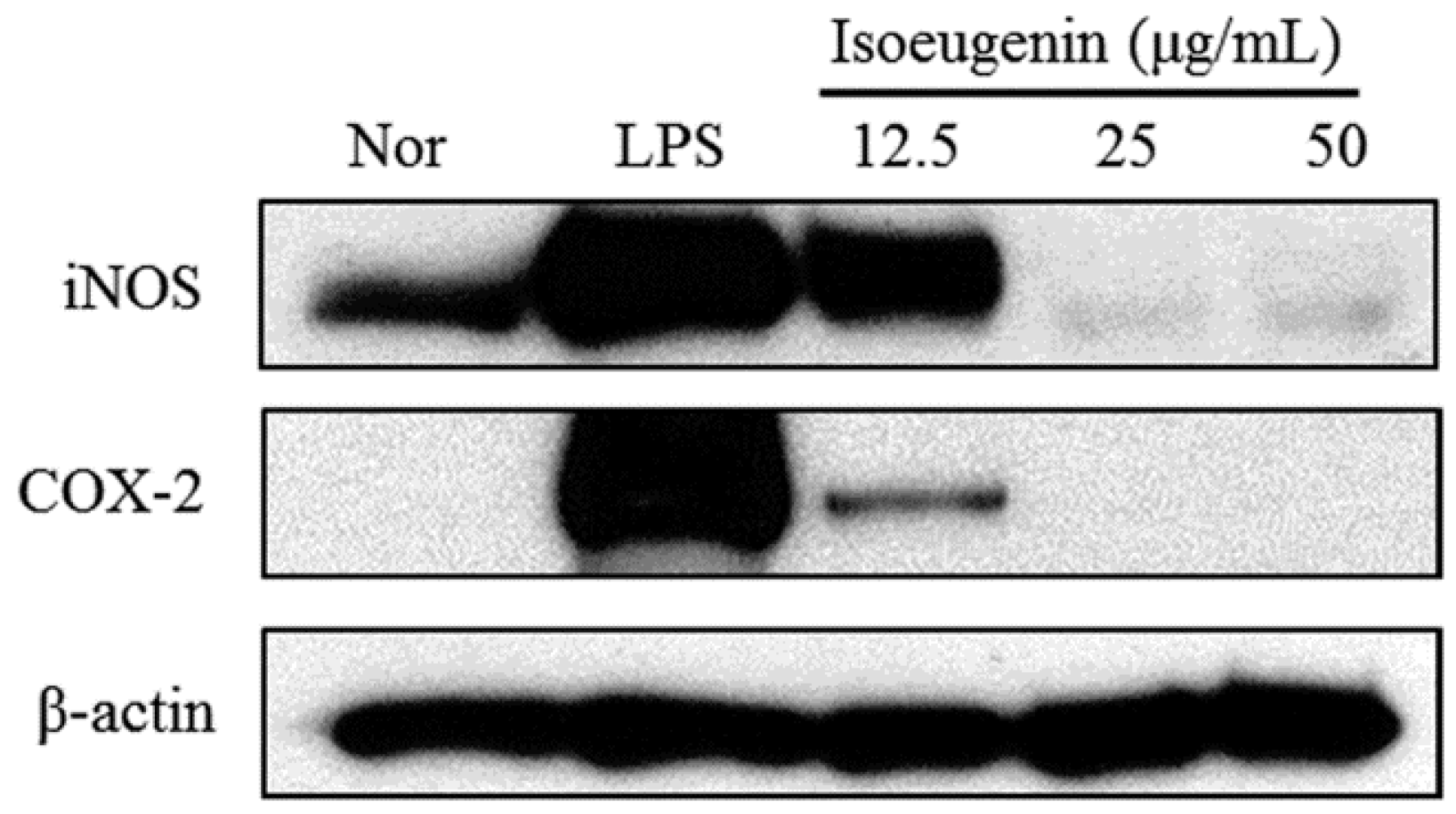 Molecules 20 19767 g003