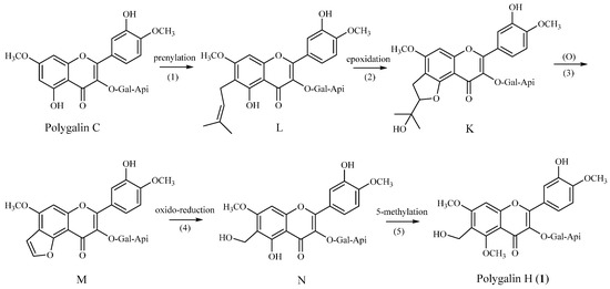 Molecules 20 19775 g002 550