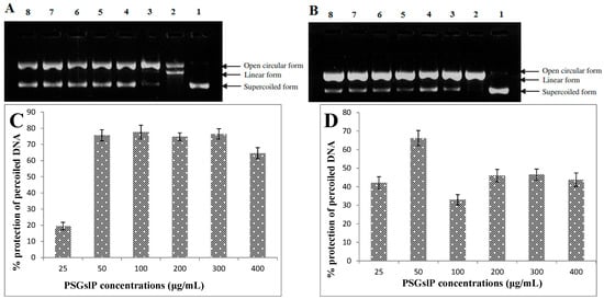 Molecules 20 19780 g002 550