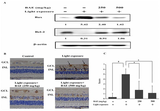 Molecules 20 19785 g004 550