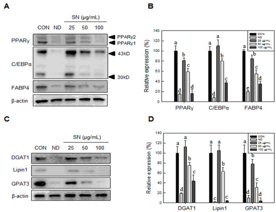 Molecules 20 19796 g002 550