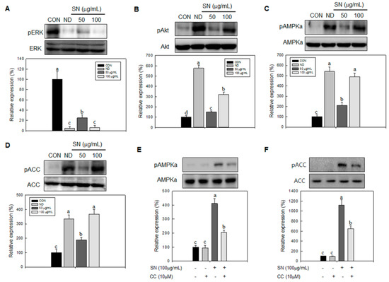 Molecules 20 19796 g007 550