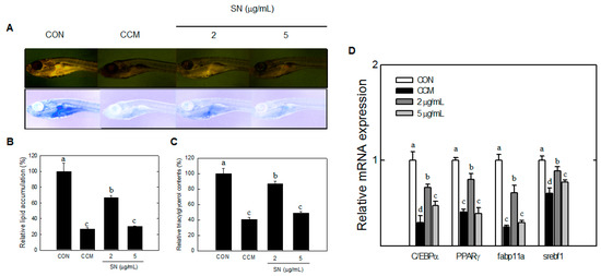 Molecules 20 19796 g008 550