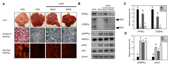 Molecules 20 19796 g010 550