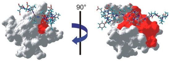 Molecules 20 19824 g006 550