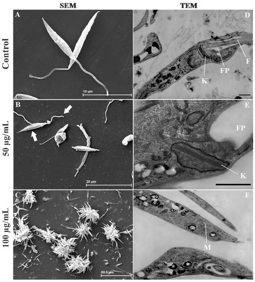 Molecules 20 19829 g006 550