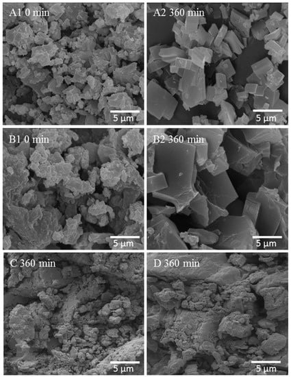 Molecules 20 19832 g005 550