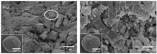 Molecules 20 19832 g008 550