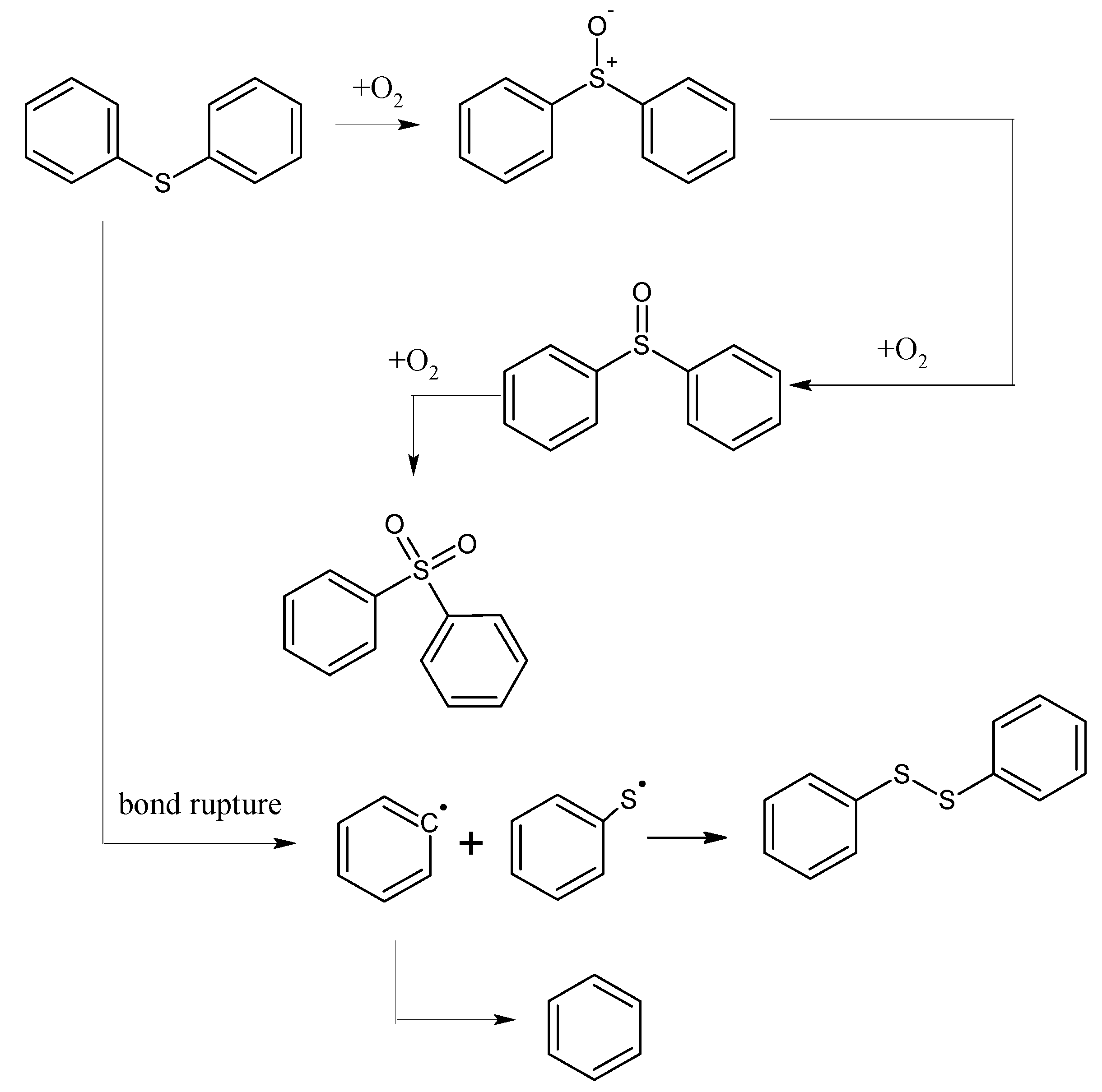 Molecules 20 19843 g005