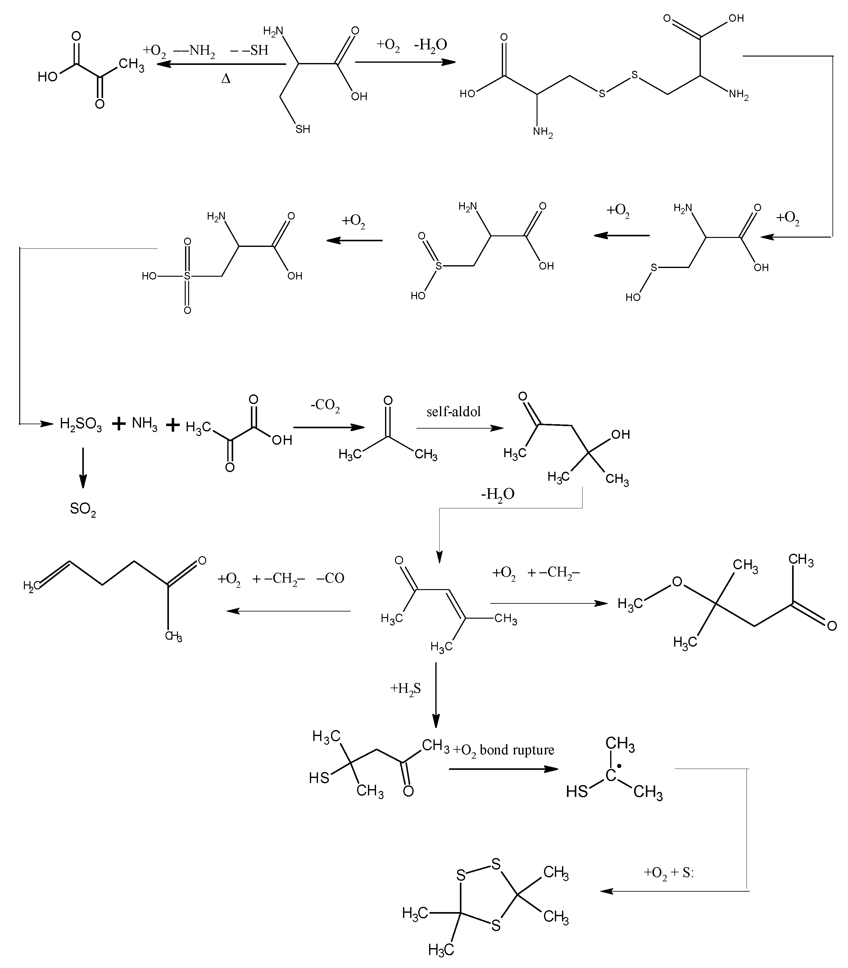 Molecules 20 19843 g006