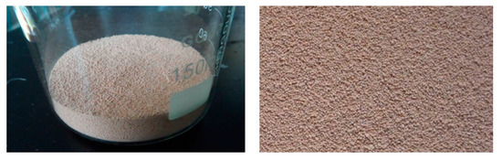 Molecules 20 19843 g010 550