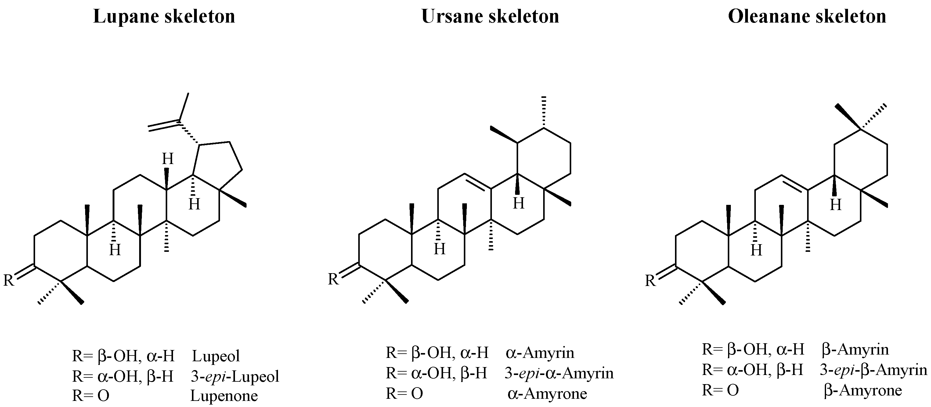 Molecules 20 19849 g001
