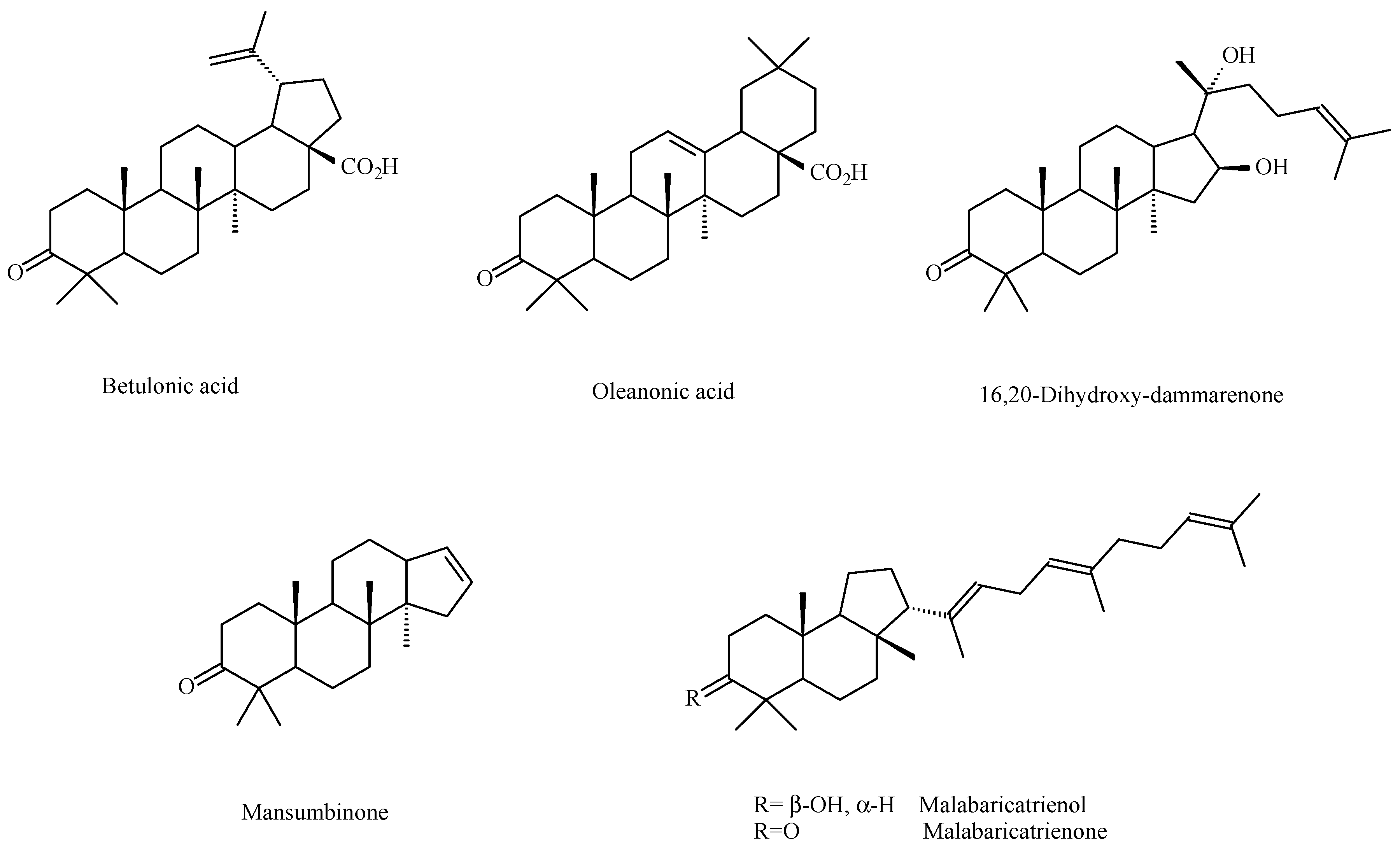 Molecules 20 19849 g002