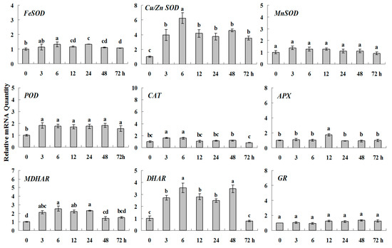 Molecules 20 19850 g002 550