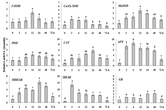 Molecules 20 19850 g004 550