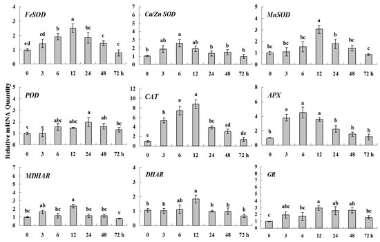 Molecules 20 19850 g005 550