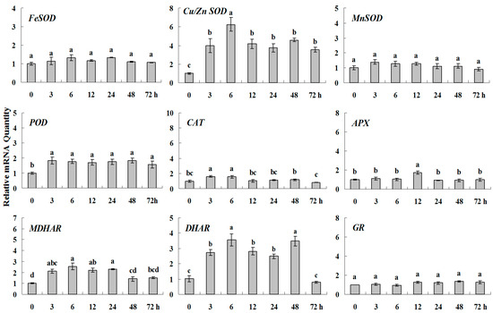 Molecules 20 19850 g006 550