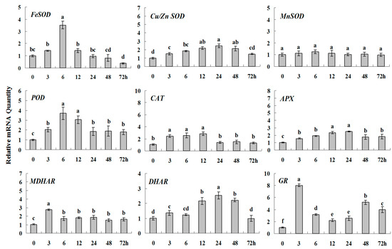 Molecules 20 19850 g007 550