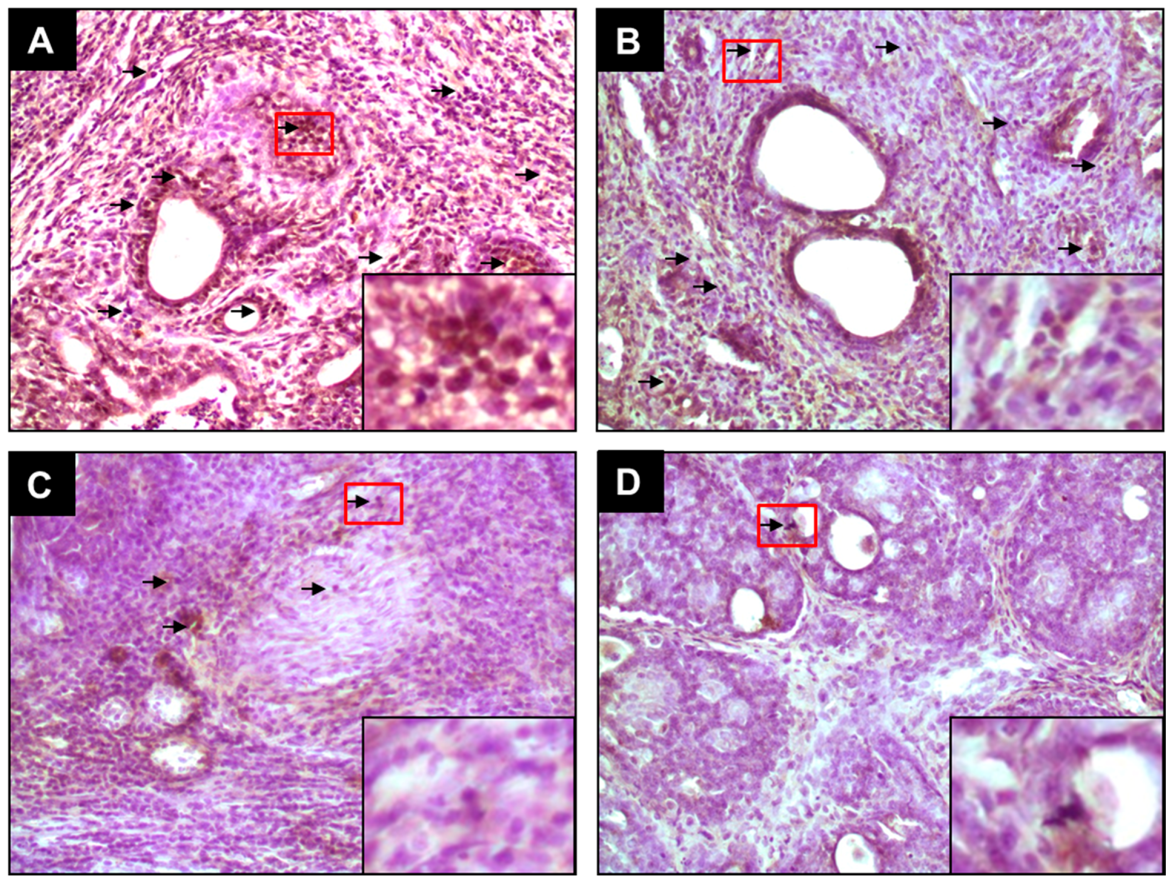 Molecules 20 19853 g001