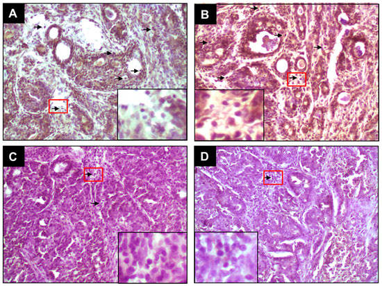 Molecules 20 19853 g003 550