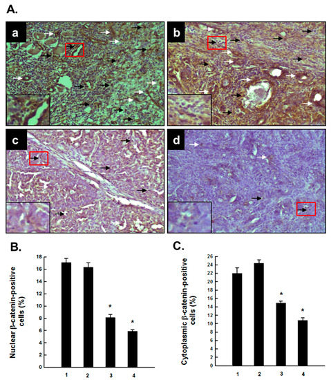 Molecules 20 19853 g004 550