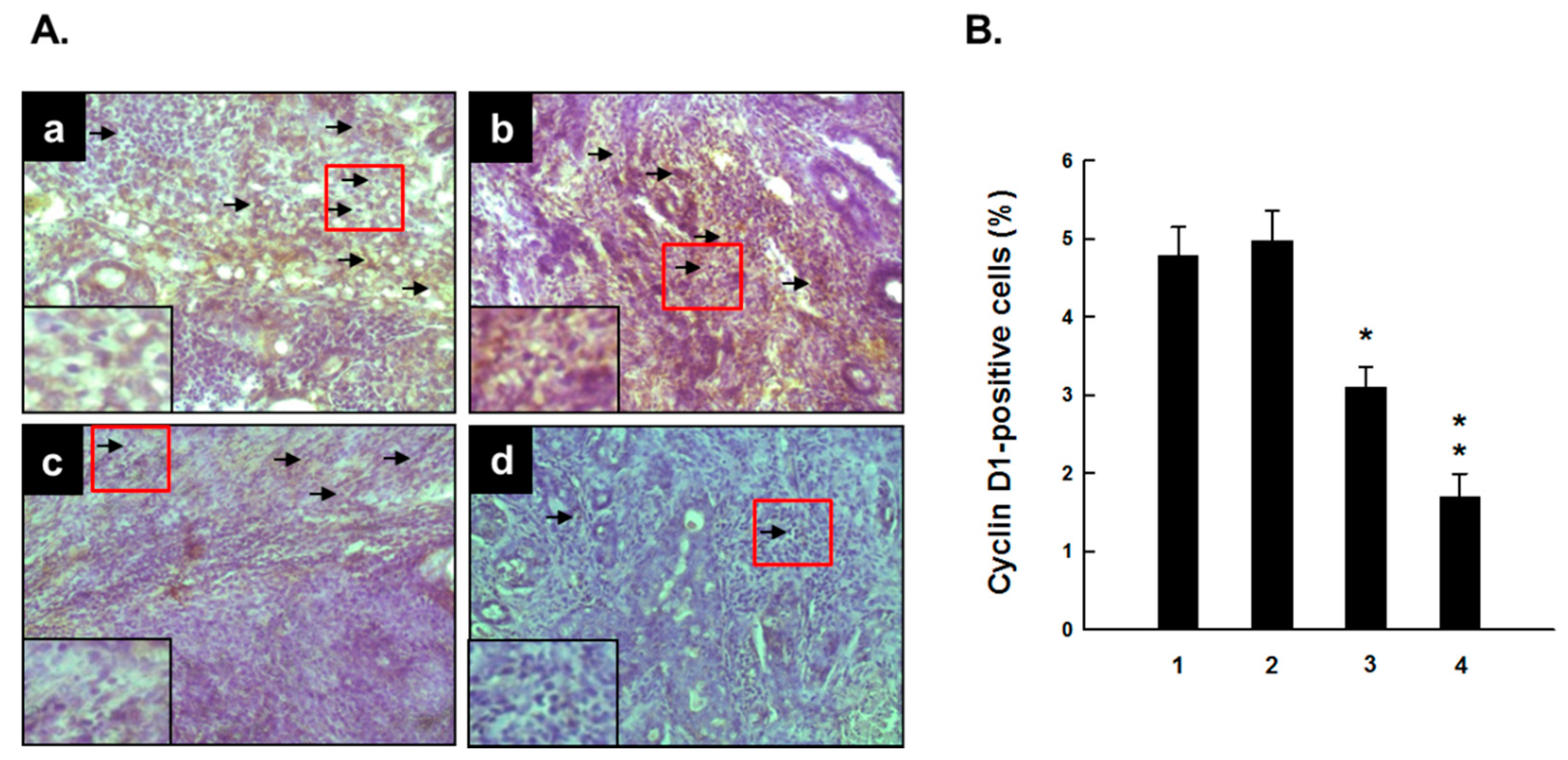 Molecules 20 19853 g005