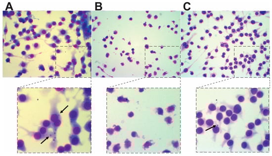 Molecules 20 19857 g005 550