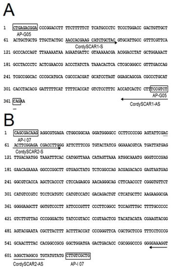 Molecules 20 19861 g004 550
