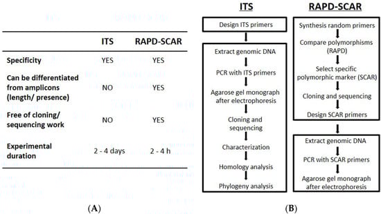 Molecules 20 19861 g006 550
