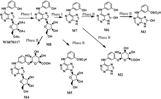 Molecules 21 00008 g001 550